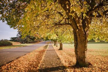 Mökkimajoitus Fort Worden