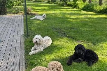 Aamiaismajoitus (B&B) Brownrigg   Half A House & Garden