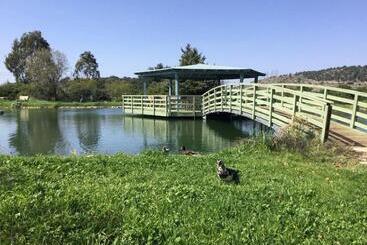 Общежитие עין הדרך