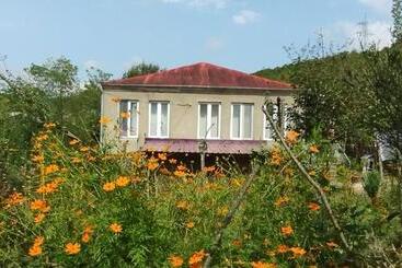 پانسیون Guesthouse David