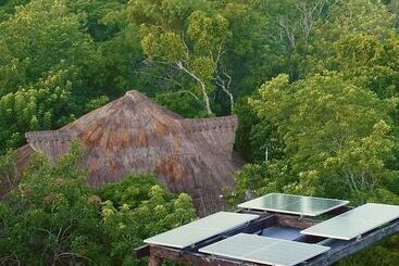 Treehouse Tulum H2ojos