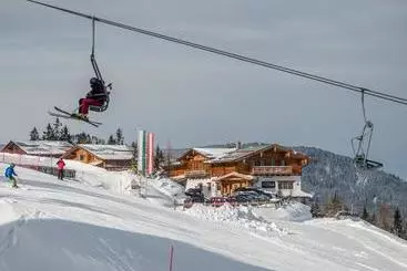 Hotel Alpine-lodge