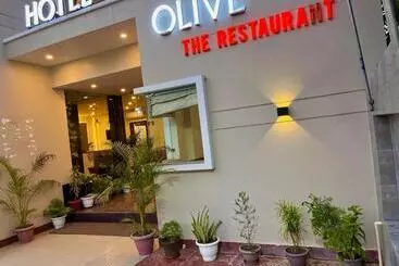 Hotel Olive Vault, Most Awarded Property In Haridwar
