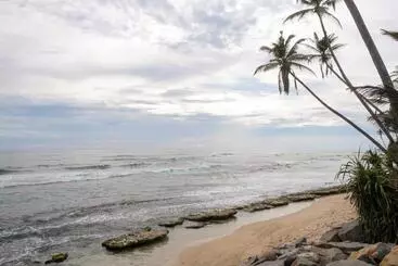 Bed and Breakfast Cosynsurf