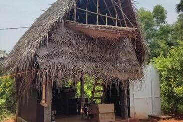 هاستل Boomerang Community