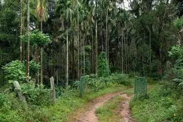 Hostel Espresso Escape By Jadecaps 3bhk Chikamagalur