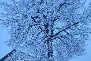 Frühstücks Pension Lichtenauer Hof