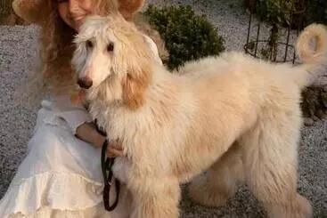 Apart Otel Arnhög Farm