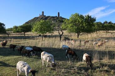 Пансион Penzion Pod Hazmburkem