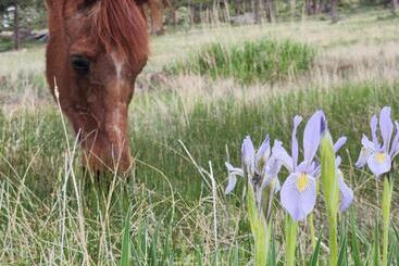 Bed and Breakfast Cassidy Ranch