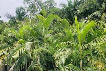 River Garden Hotel Anuradhapura