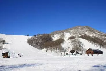 Hotel シェーネスハイム金山