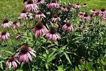 Пансион Room In House Charming Private Room Complete4