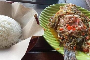 Pensionat Joni House