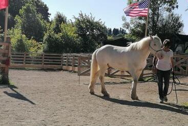 酒店 Der Blankhof Back To Roots