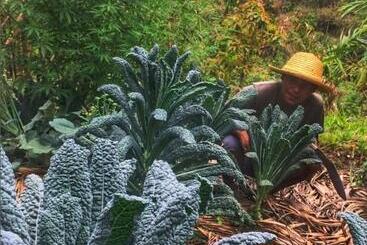 Petrichor   Regenerative Living Experience