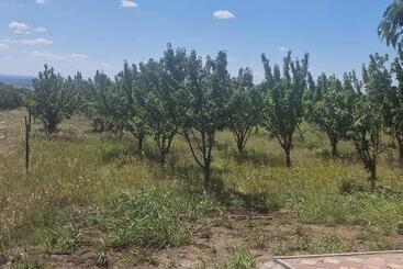 酒店 Big Bear Hunting Lodge