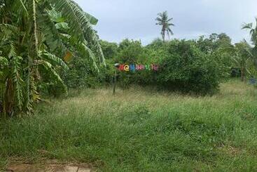 Resort รีสอร์ท สุพรรณ