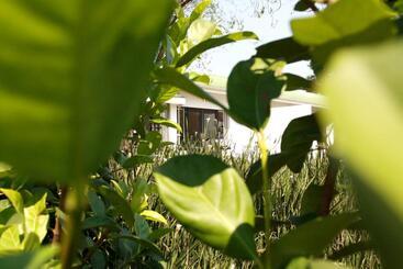 ベッドアンドブレックファースト Harrington House