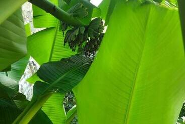 Hotel Le Mas De La Siffleuse