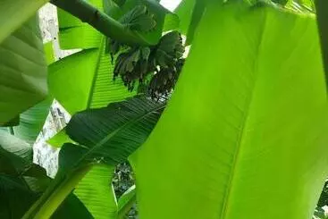 Hotel Le Mas De La Siffleuse