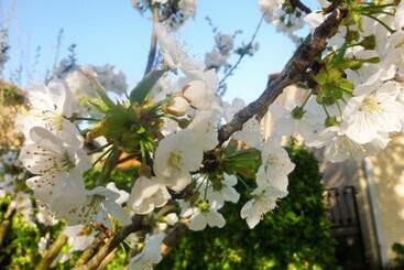 ベッドアンドブレックファースト Chambre D Hôtes Mirabel