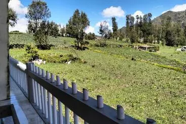 Majatalo Bromo Seruni Astungkara Homestay