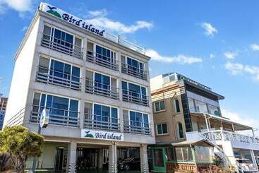 Sokcho Bird Island Pension