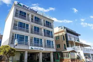 Sokcho Bird Island Pension