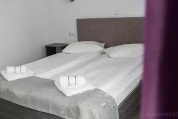 Pension Vila Adelin