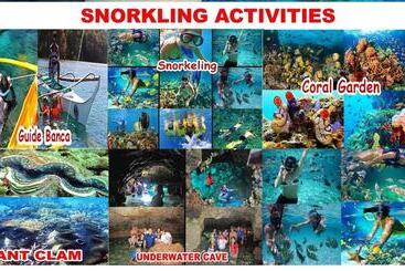 Bed and Breakfast Manalo S Lodge And Restaurant