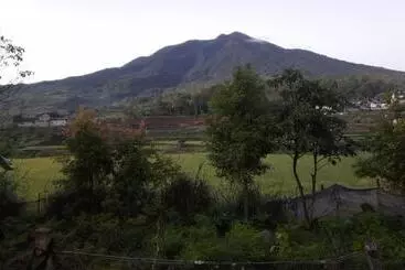 Bungo Bed & Breakfast Workation