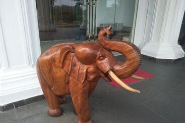 Airport Hotel Dream Paradise