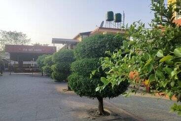 هتل Rose Guest House