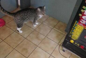 Отель Zum Stillen Himmelbett