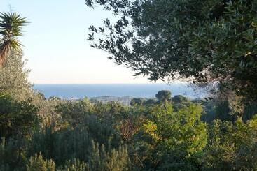 Chambre Bed And Breakfast Dans La Villa Cypra