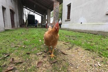 펜션 Corte Bagnetta