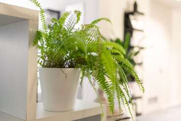 アパートホテル The Business Sleeping Place