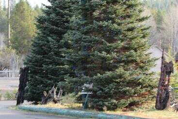 Otel The Woodsman Country Lodge