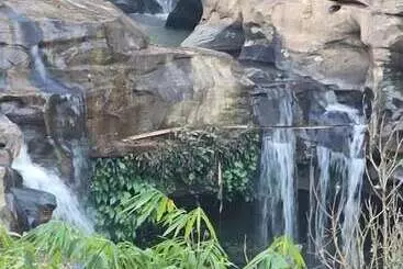 Hotel Sainamtok Resort