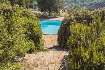 Azienda Agricola Pietra Pizzuta