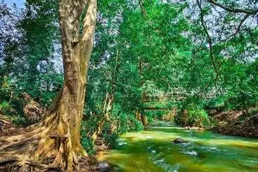 Majatalo Nisha S Hideaway