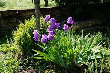 צימר Domaine De Gondrange Chambres D Hôtes