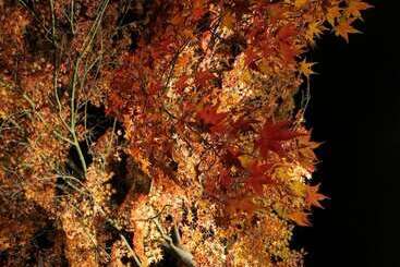 호스텔 Guesthouse Nishiki