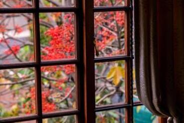 Pension Terra Casa Guesthouse