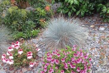 Bed and Breakfast Chambres & Roul Hotes De La Rance