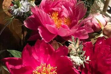 Bed and Breakfast Moulin De Bapaumes