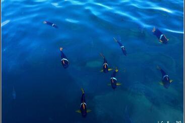 La Casa Naranja Bed And Breakfast