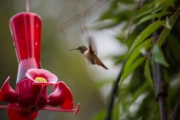 호텔 Enchanter Oceanview Suites