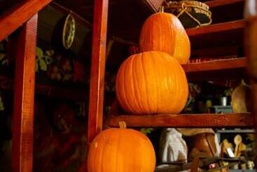 فندق Complex Turistic Moara Dragaicilor